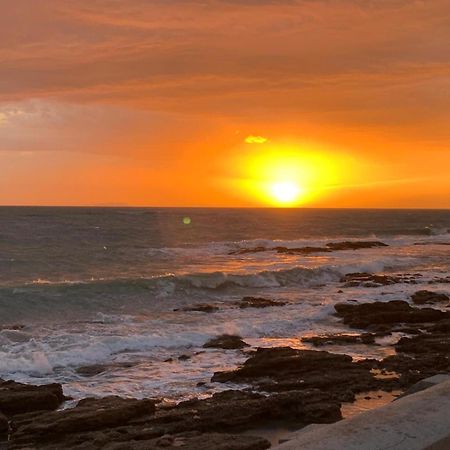 Enjoy Toscana ! Livorno Ngoại thất bức ảnh